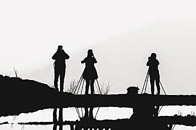 《怪物猎人：荒野》第二季度内销量暴跌至47.7万